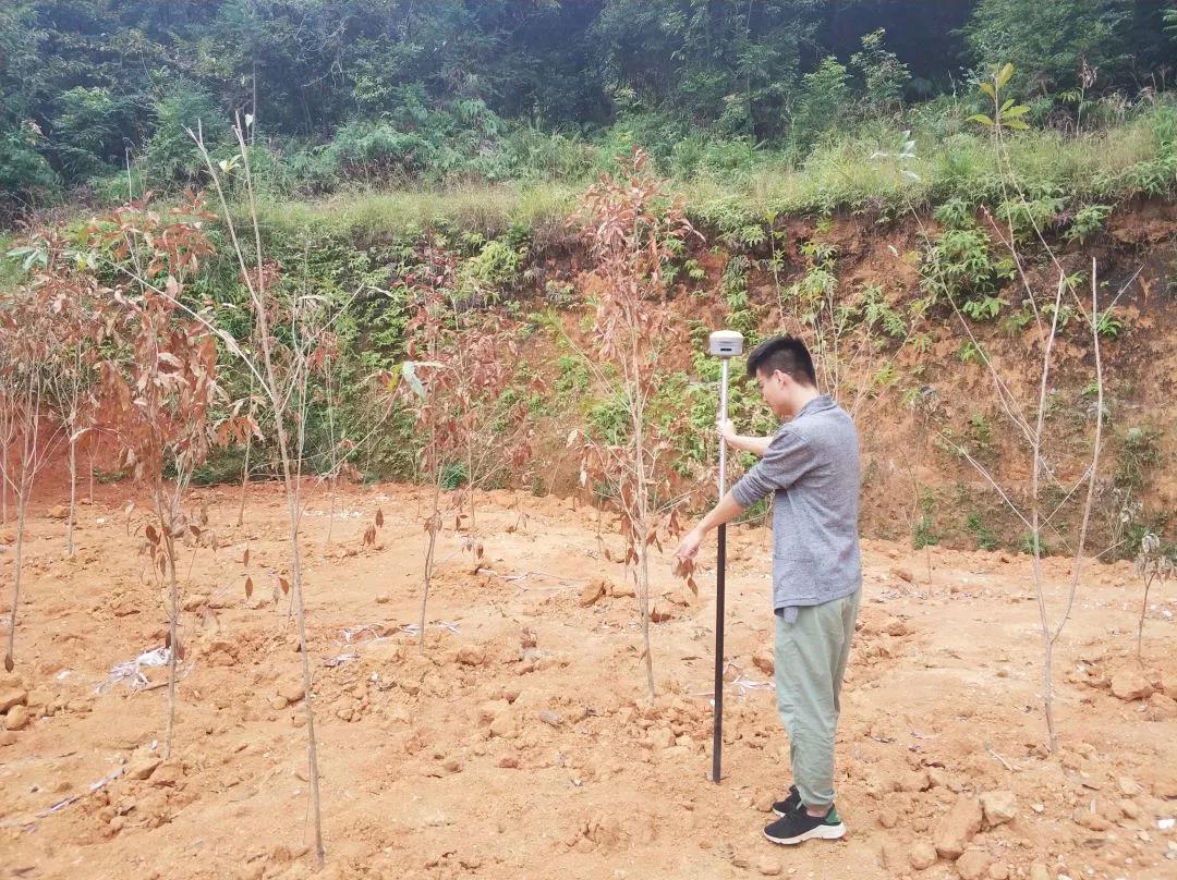 土地妄想部项目纪实丨尊龙凯时人生就是搏人，，，，助力荒地变桑田！