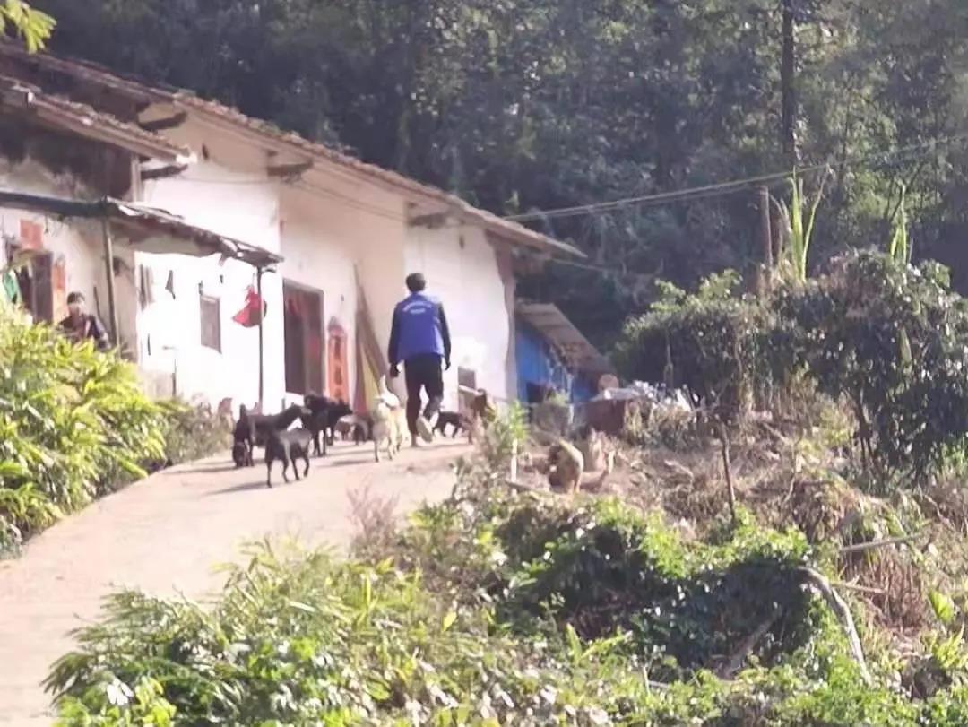 阳春房地一体项目纪实丨无悔青春多砥砺，，，，，最是奋斗感人心