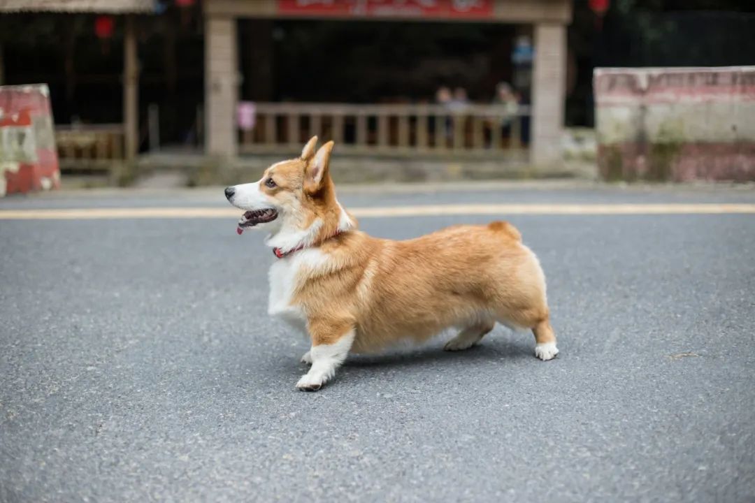 再见，，，，，，我的老朋侪