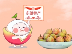 漫话尊龙凯时人生就是搏丨一颗有“故事”的荔枝！