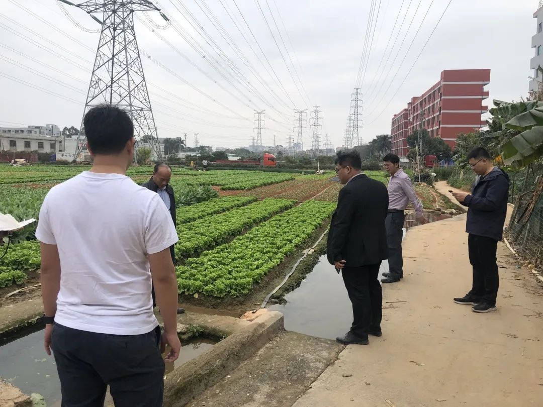 助力墟落振兴，，，尊龙凯时人生就是搏一直在起劲！