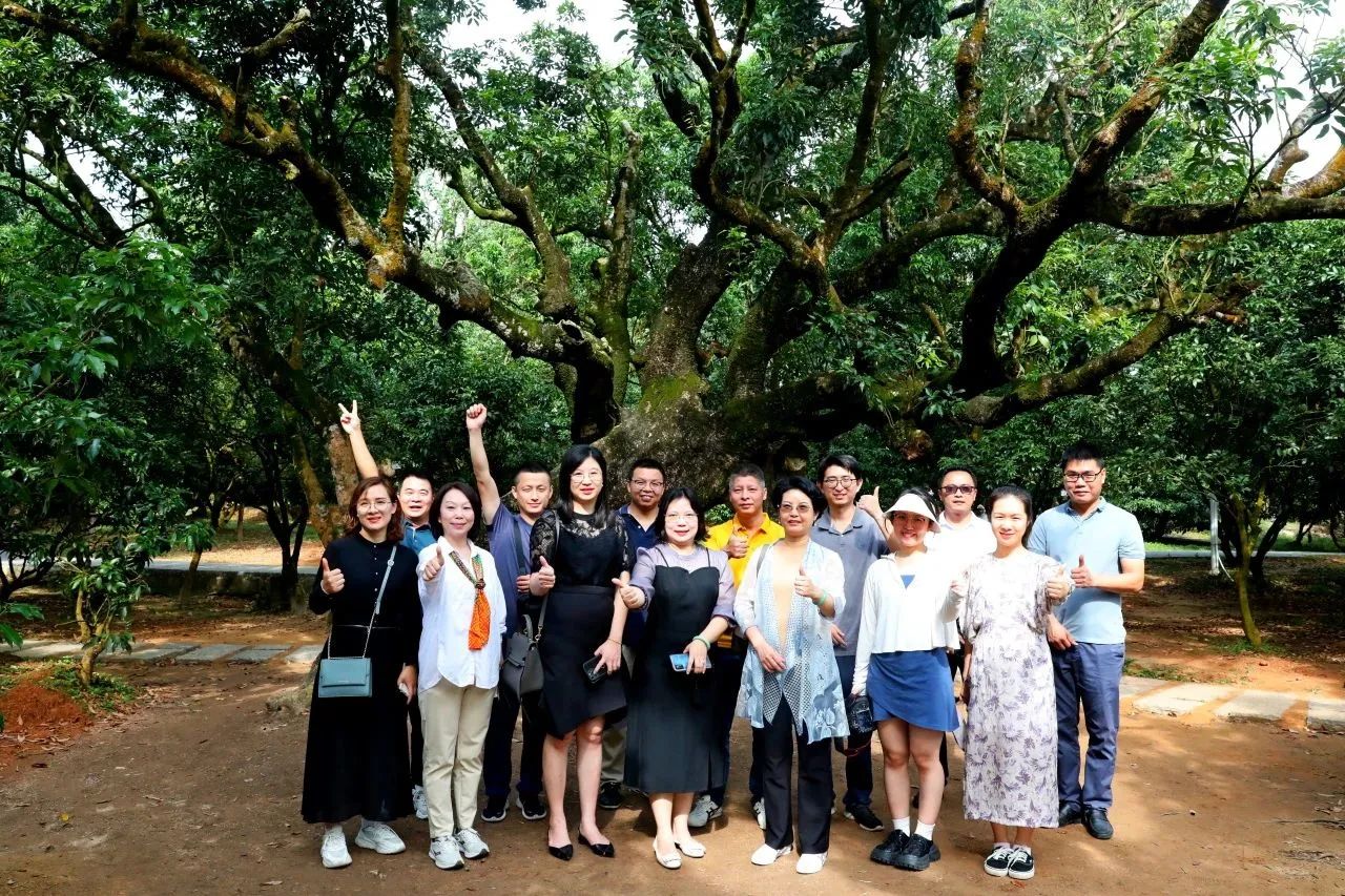 尊龙凯时人生就是搏集团作为省领土空间生态修复协会轮值会长带队调研粤西全域土地综合整治事情