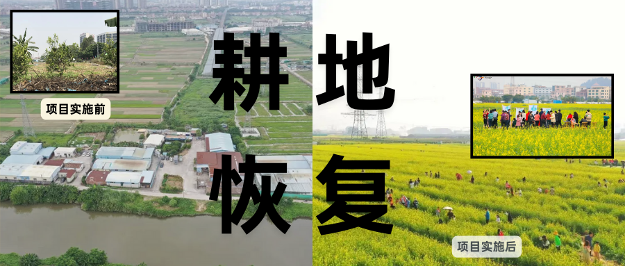 耕地；；；；；；び刖蒙す踩凇甘泻窠终蛩谏缜读继锵钅扛鼗指从氤窍缛诤系牧⒁焓导